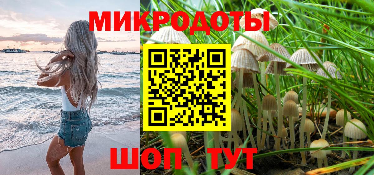 Псилоцибиновые грибы мицелий Богданович