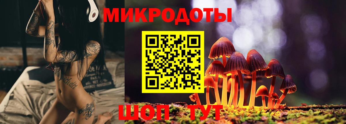 Галлюциногенные грибы GOLDEN TEACHER  Вход с VPN  Богданович  Псилоцибиновые грибы прущие грибы 